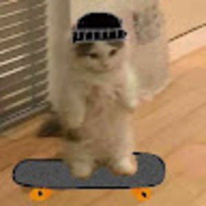 Meet your Posher, Josie